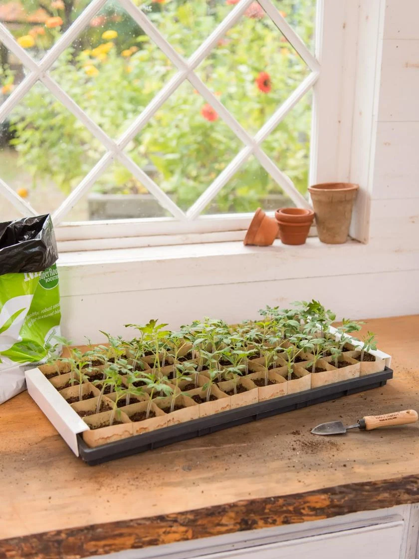 Paper Pots Starter Set