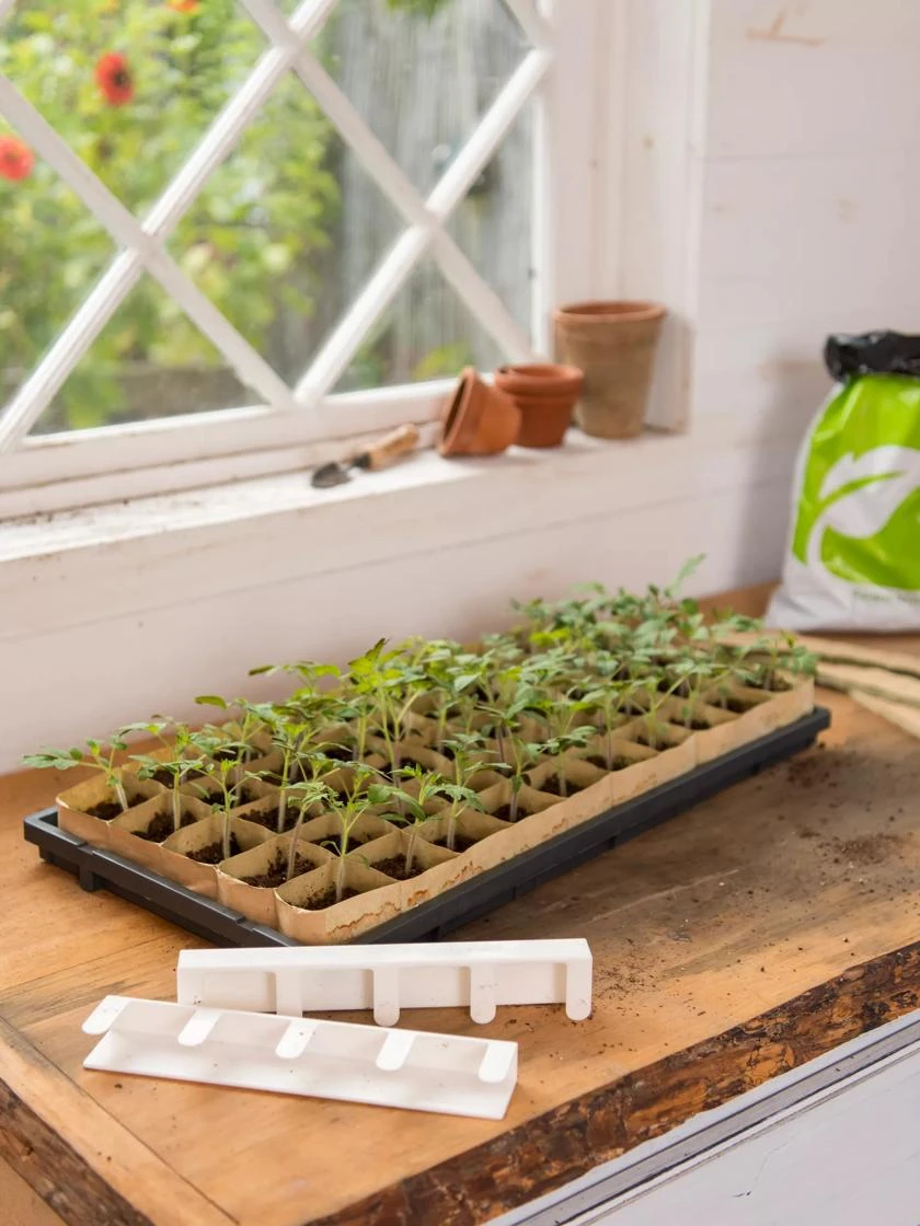 Paper Pots Starter Set - Image 5