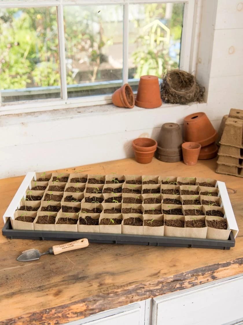 Paper Pots Starter Set - Image 3