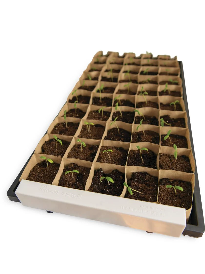 Paper Pots Starter Set - Image 4