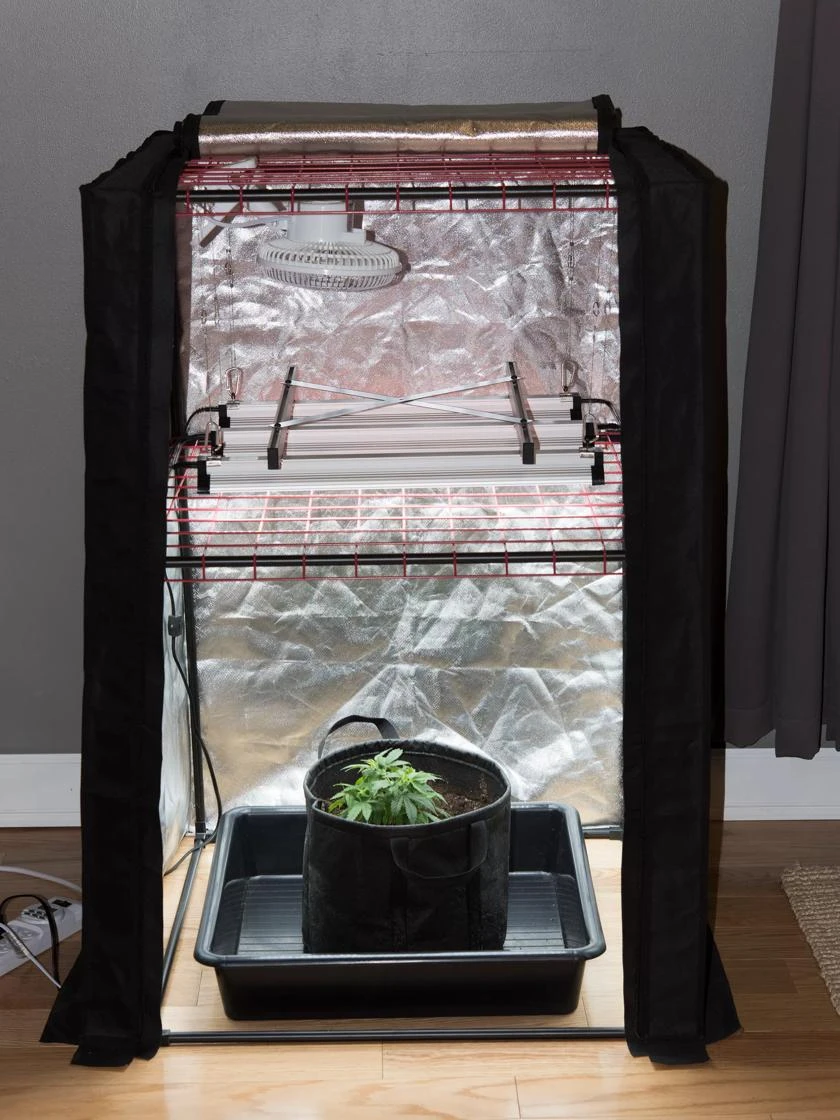 Hemp Grow Kit - Image 3