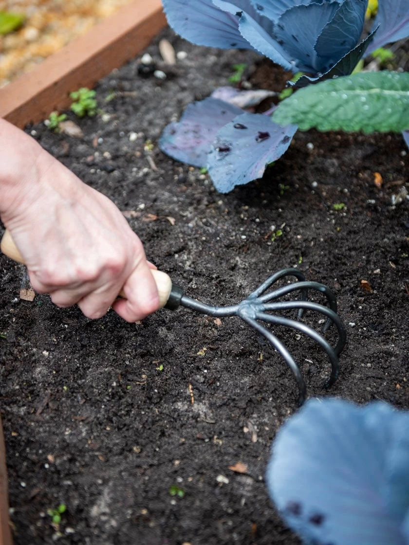 Gardenerās Lifetime 5-Tine Cultivator With Short Handle - Image 2