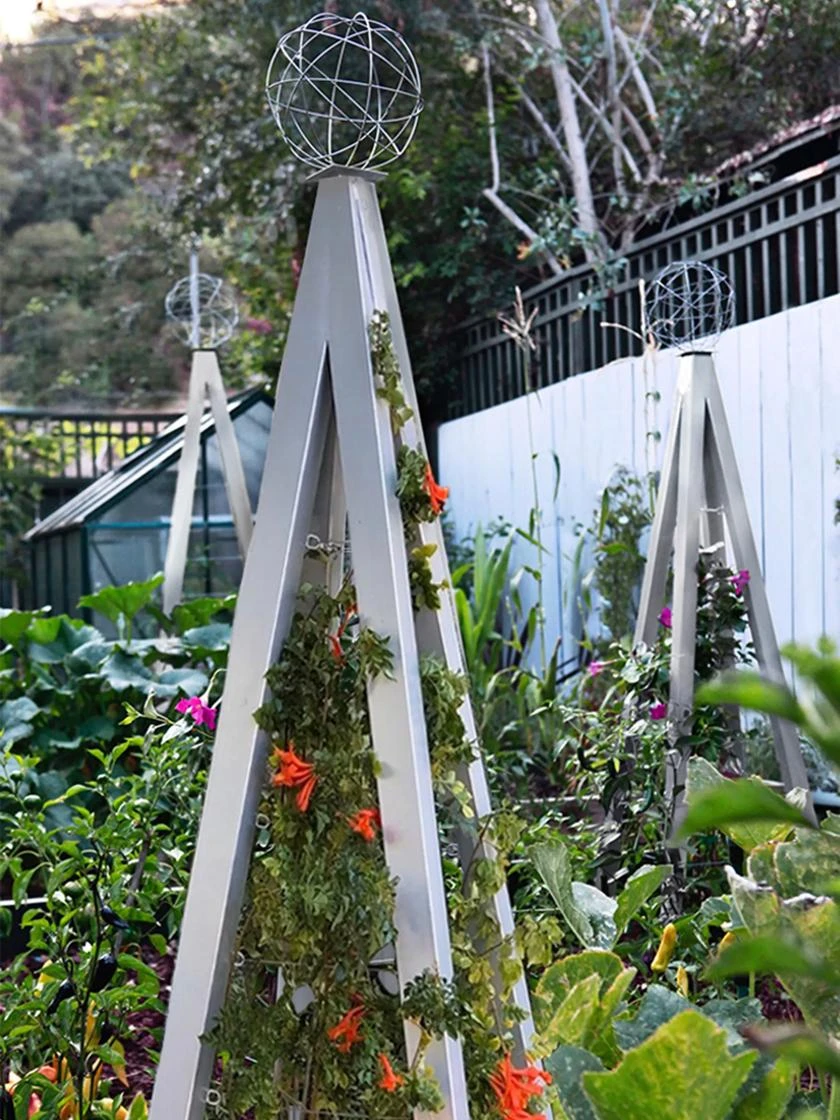 Akoris Garden Tuteur Jr. - Image 5