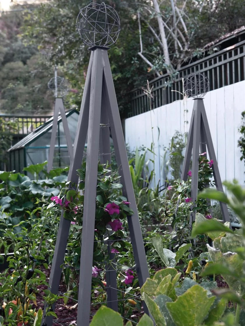 Akoris Garden Tuteur Jr. - Image 2