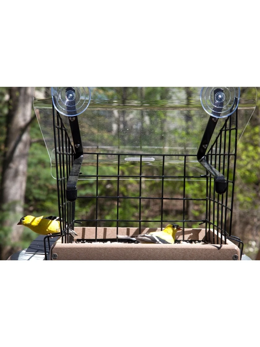 Birds Choice Window Mount Bird Feeder Kits - Image 5