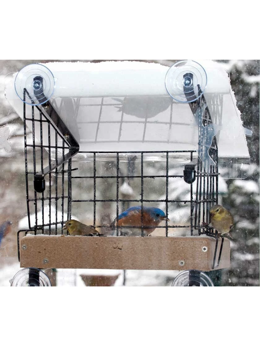 Birds Choice Window Mount Bird Feeder Kits - Image 6