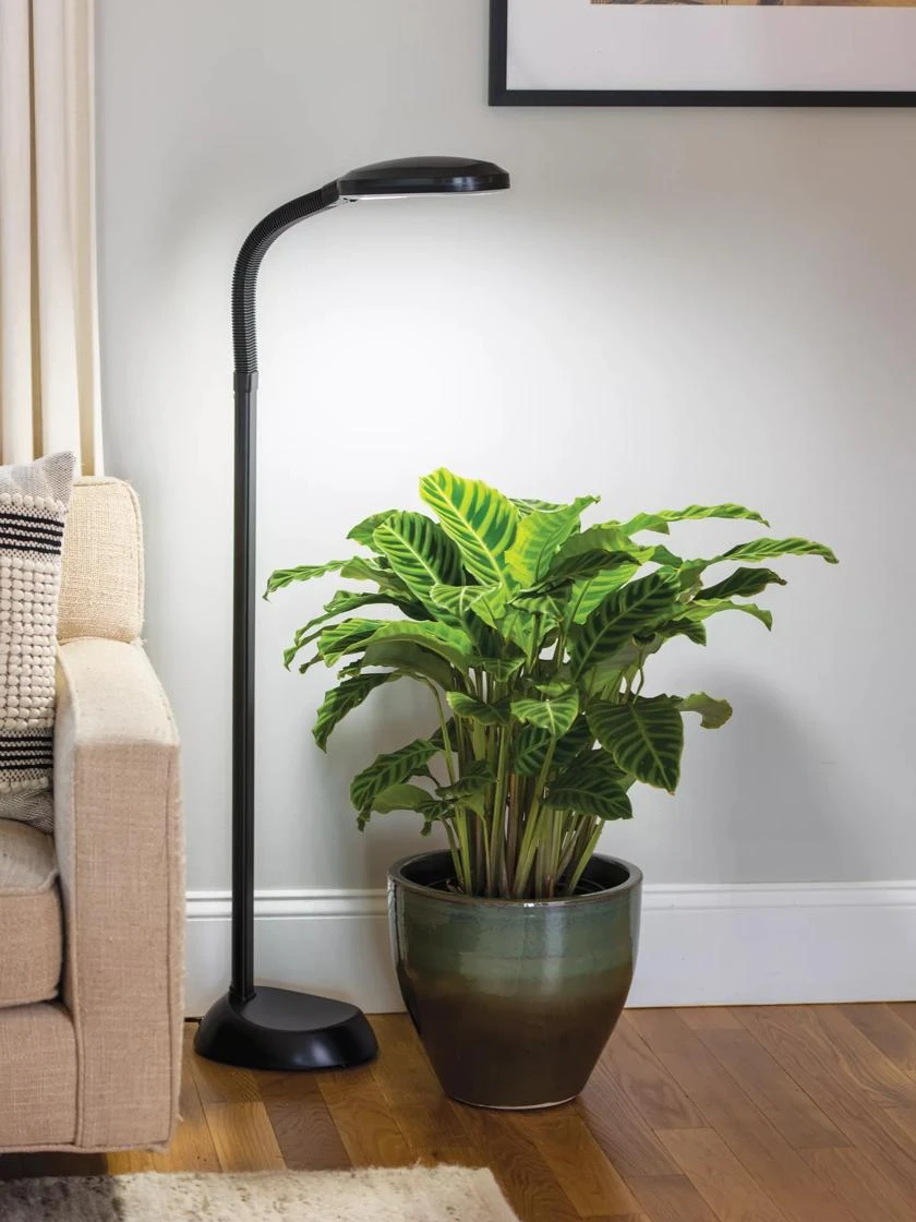 Agrobrite Floor LED Plant Lamp