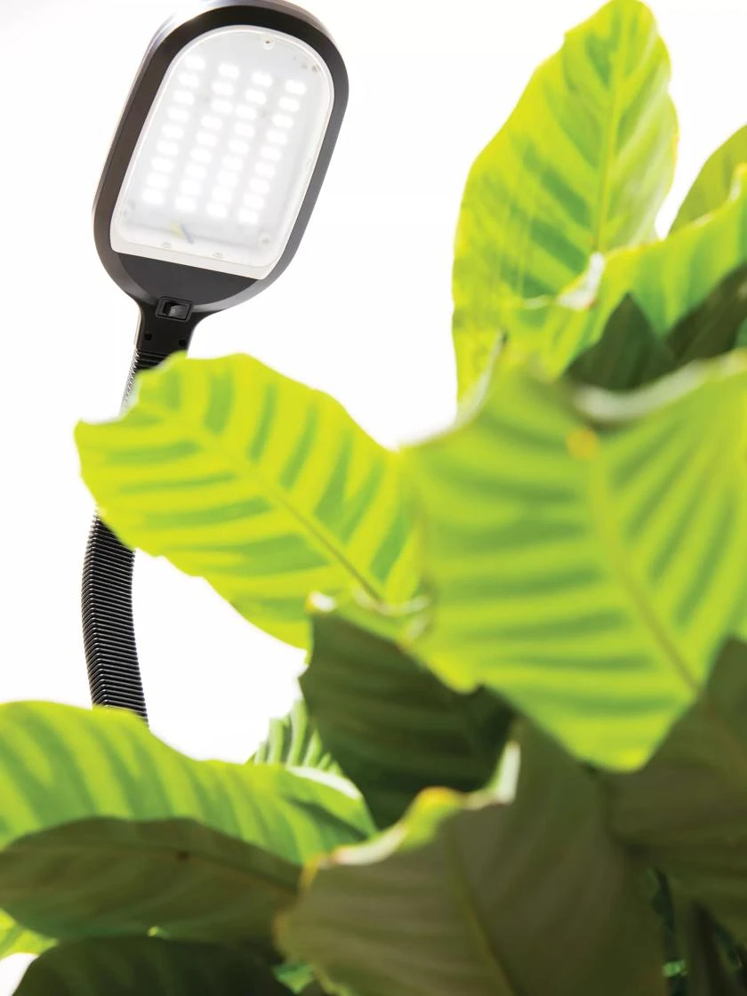 Agrobrite Desktop LED Plant Lamp - Image 2