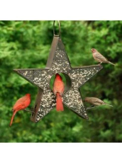 Star Fly-Thruâ„¢ Bird Feeder
