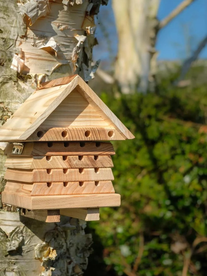 Solitary Bee Hive - Image 6