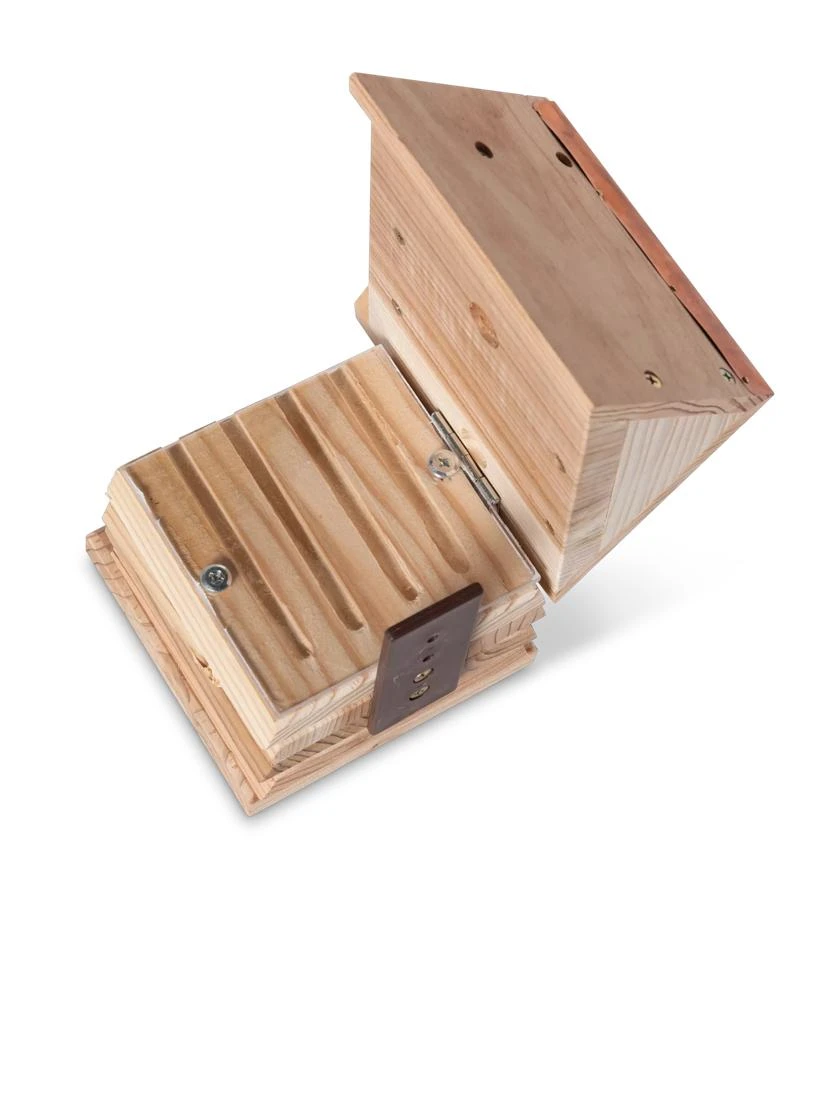 Solitary Bee Hive - Image 5