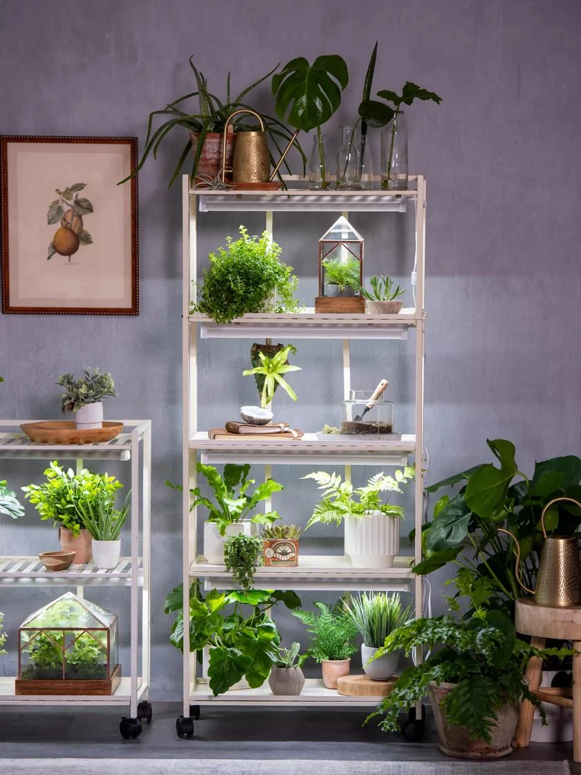 Oslo 4-Tier LED Grow Light Garden - Image 8