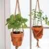 Mini Terracotta Pot With Hanger, Set Of 2