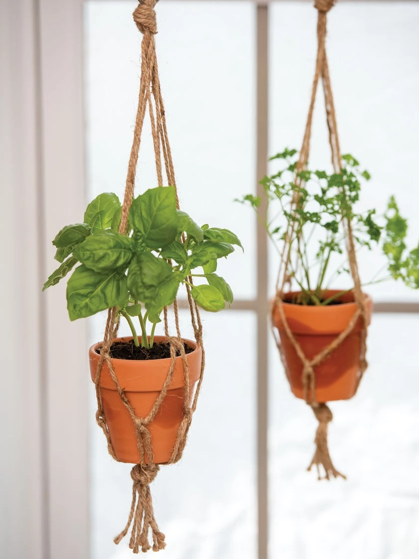 Mini Terracotta Pot With Hanger, Set Of 2
