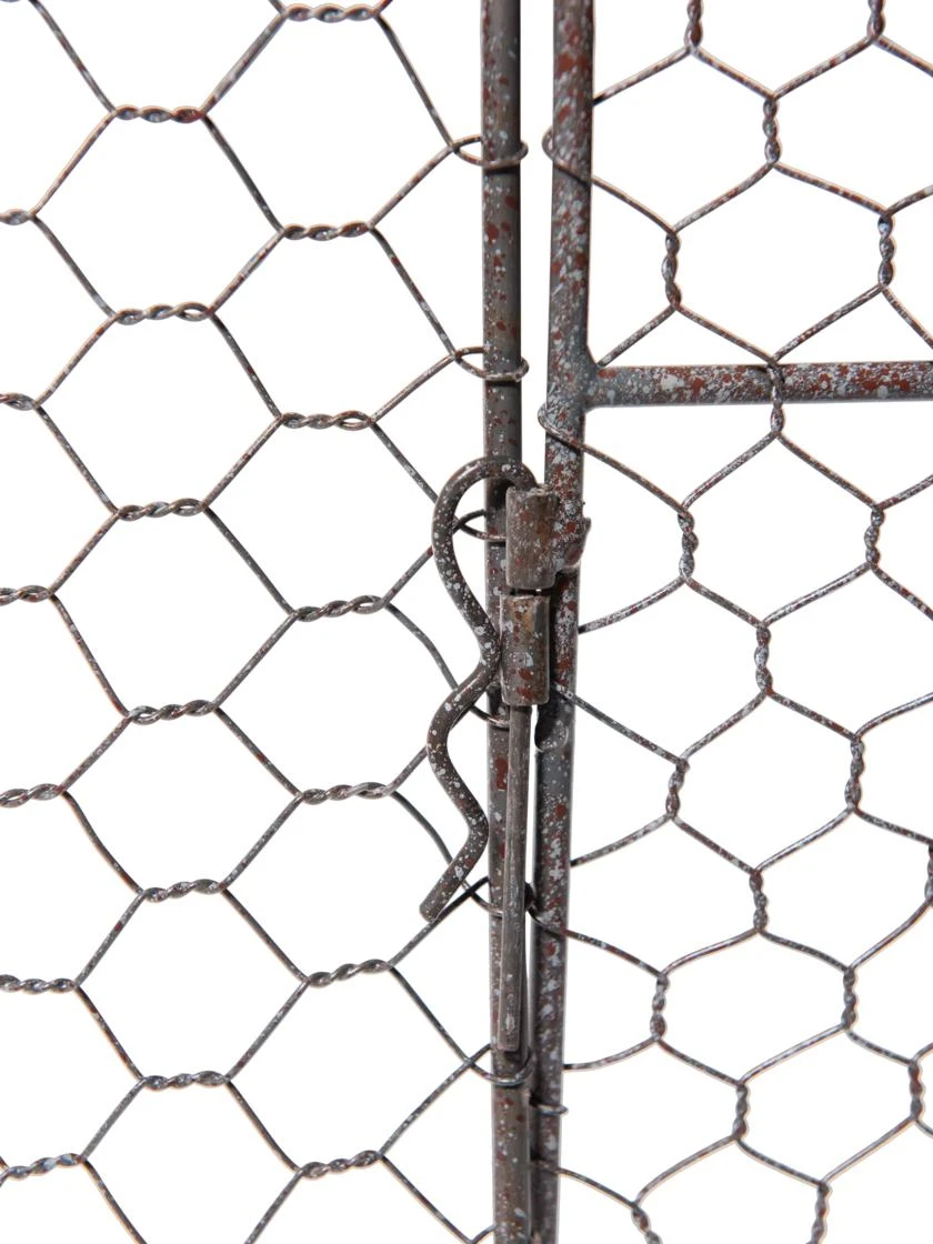 Chicken Wire Cloche Extension - Image 8