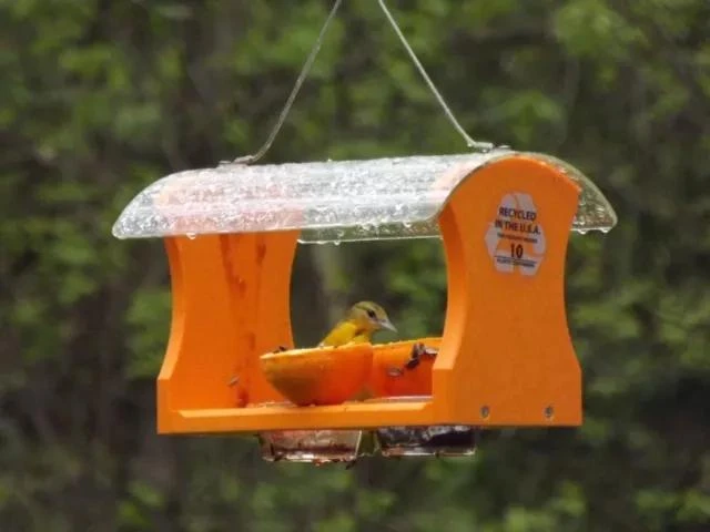 Birds Choice™ Oriole Feeder - Image 2