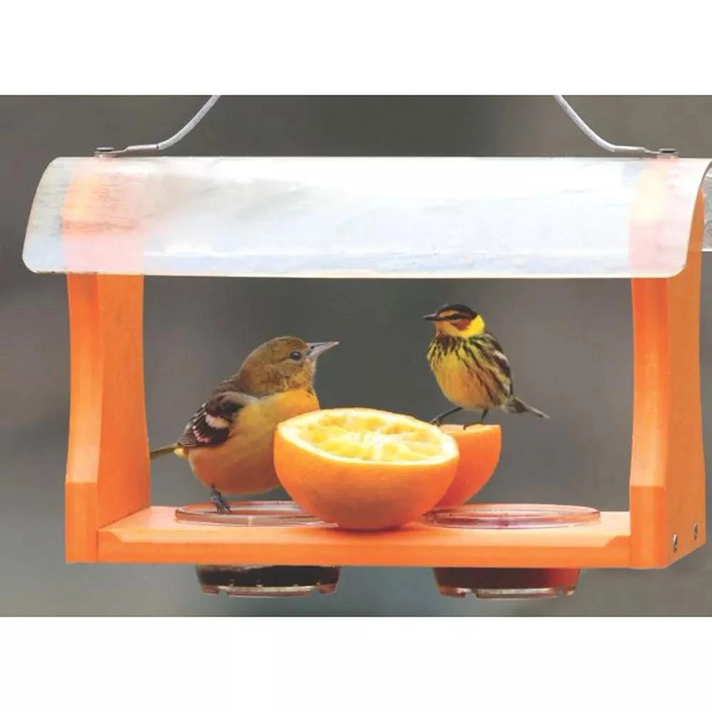 Birds Choice™ Oriole Feeder - Image 3