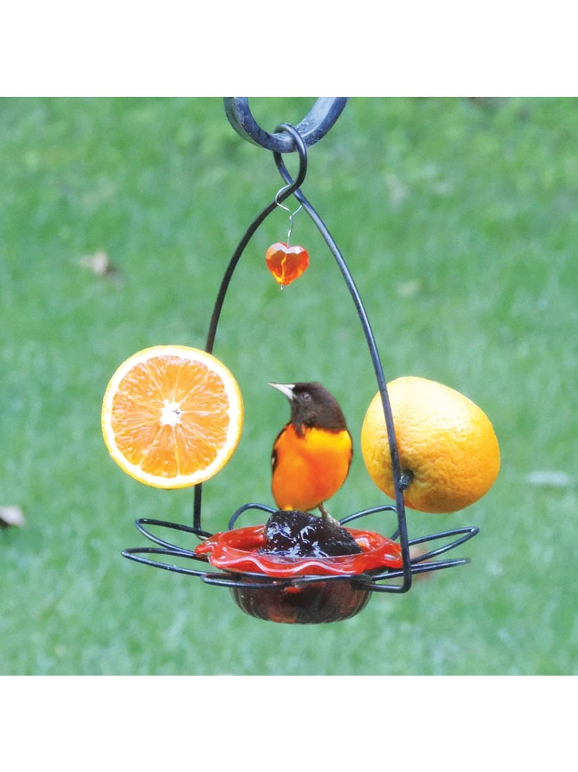 Birds Choice ™ Oriole Flower Feeder - Image 2
