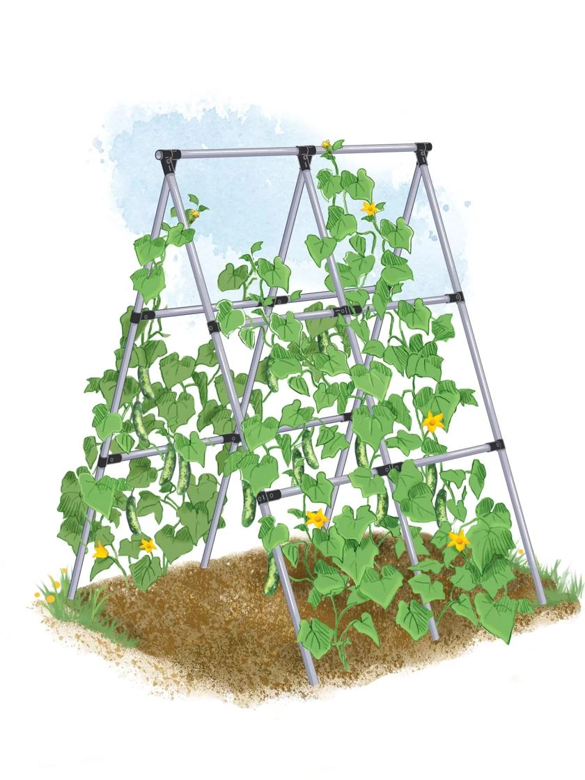 Connector Kit For DIY A Frame Plant Support - Image 2