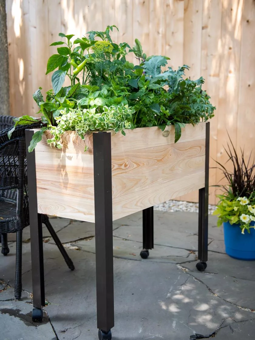 Rolling Patio Garden - Image 2