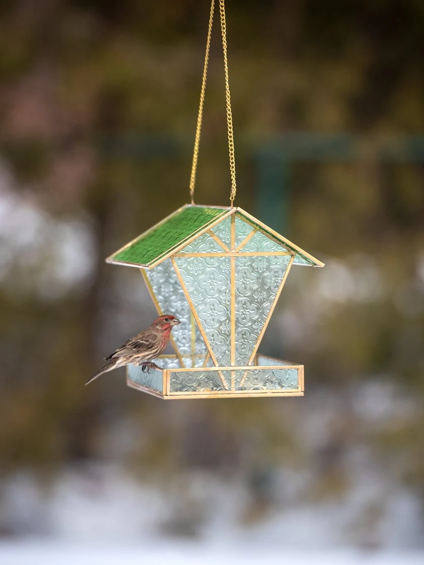 Glass Hut Bird Feeder