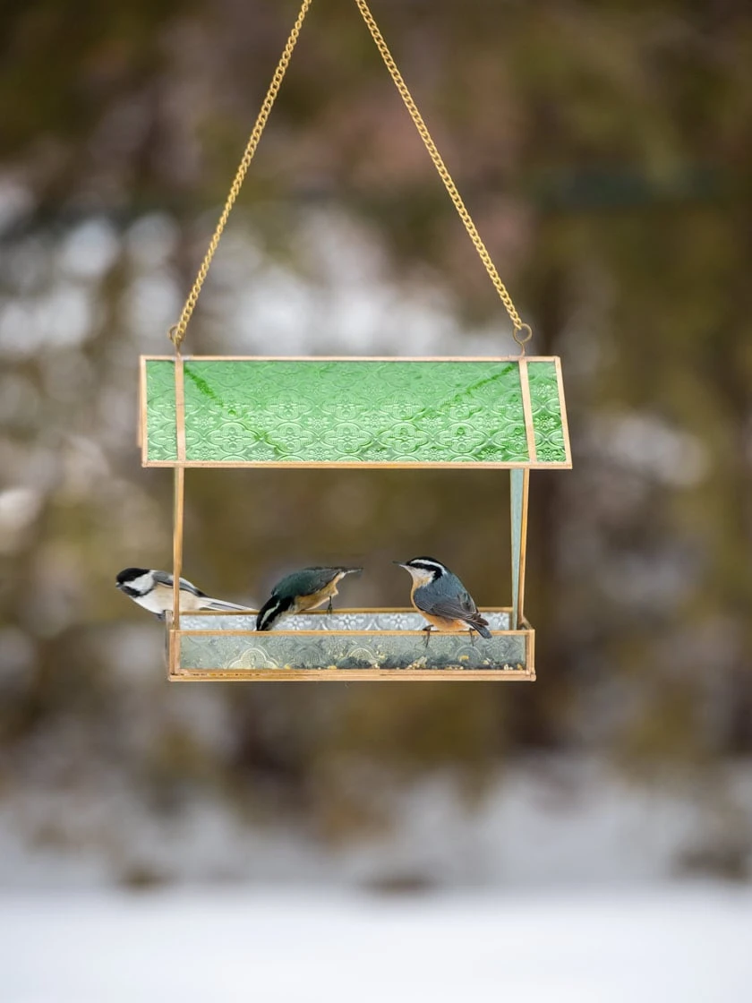Glass Hut Bird Feeder - Image 2