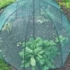 GardenSkill Pop N Crop Plant Umbrella
