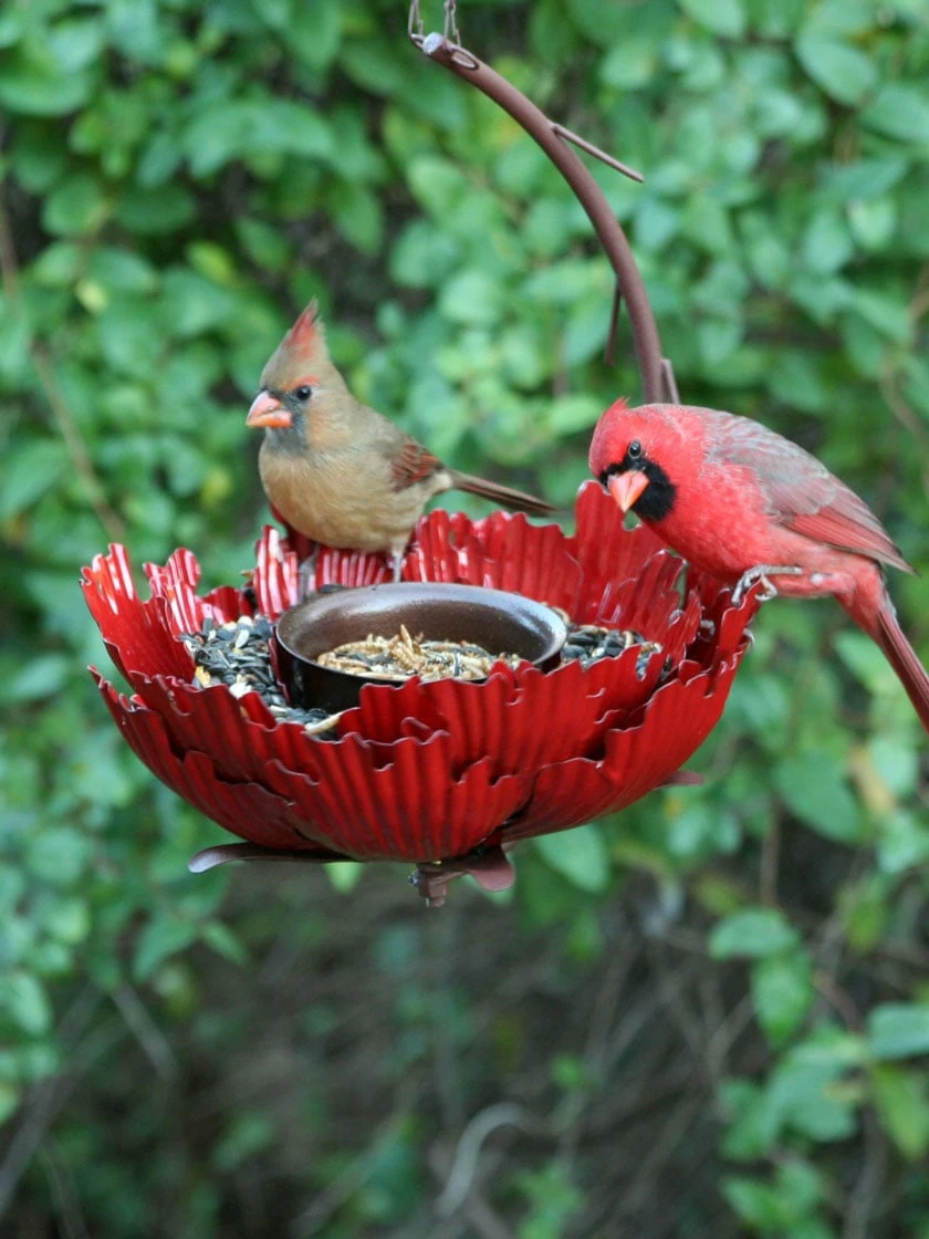 Desert Steel Sunset Peony Bird Feeder