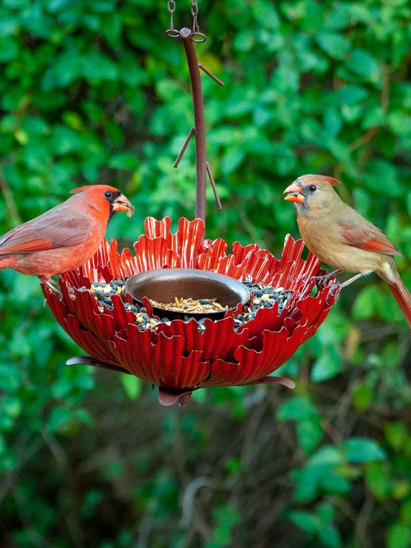 Desert Steel Sunset Peony Bird Feeder - Image 2