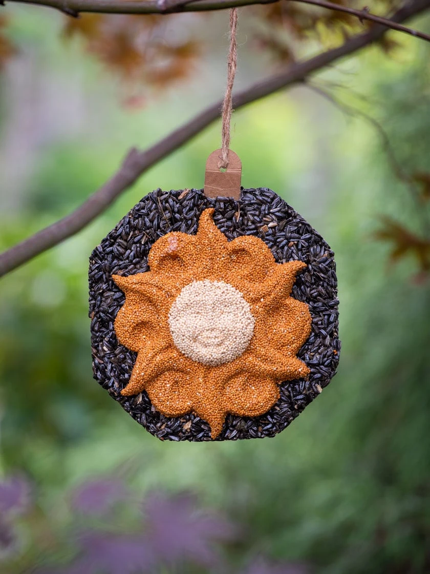 Sunface Birdseed Wreath - Image 2