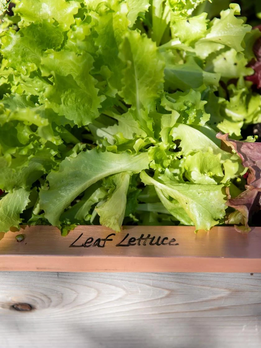 Re-Markable Raised Bed Trim - Image 3