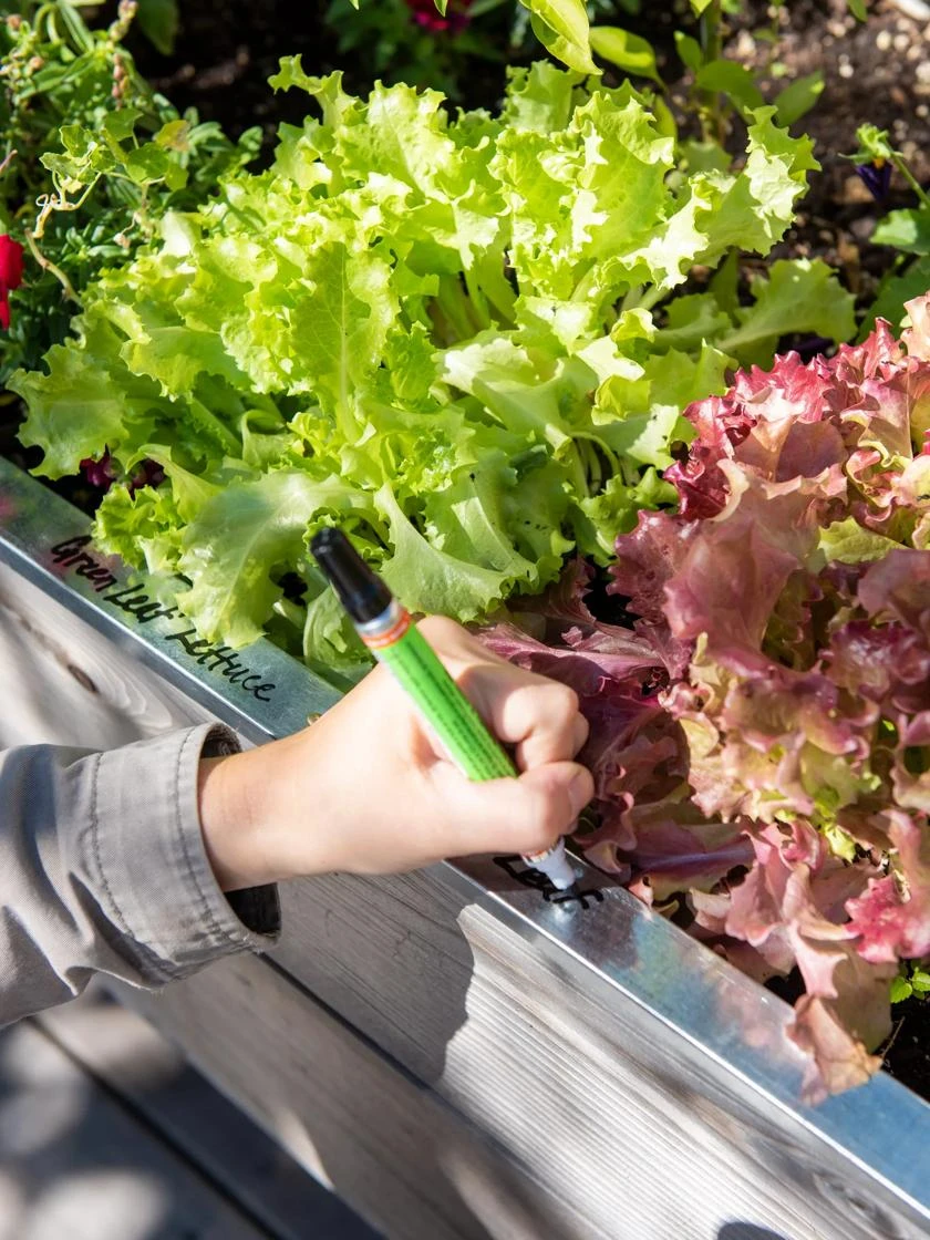 Re-Markable Raised Bed Trim - Image 2