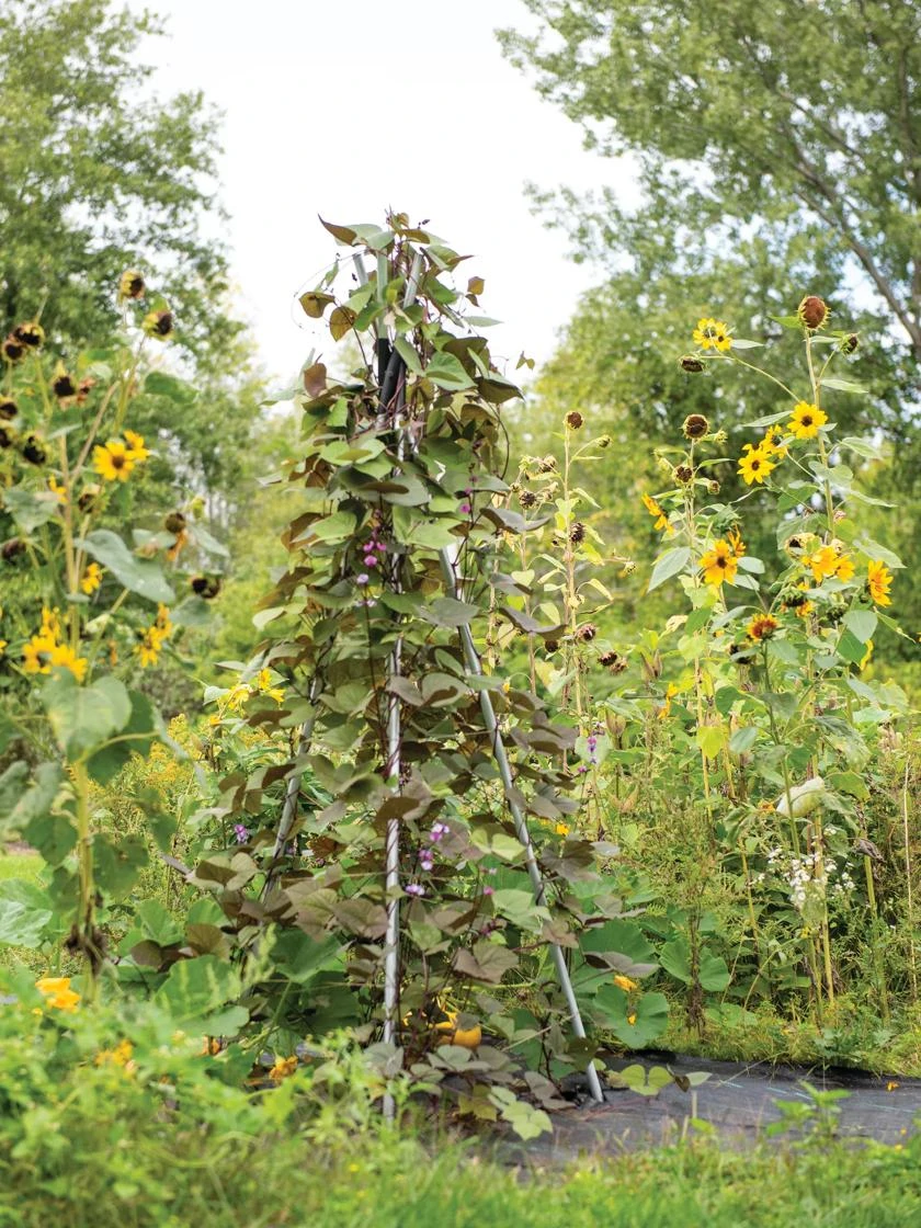 DIY Connector For Teepee Trellis - Image 4