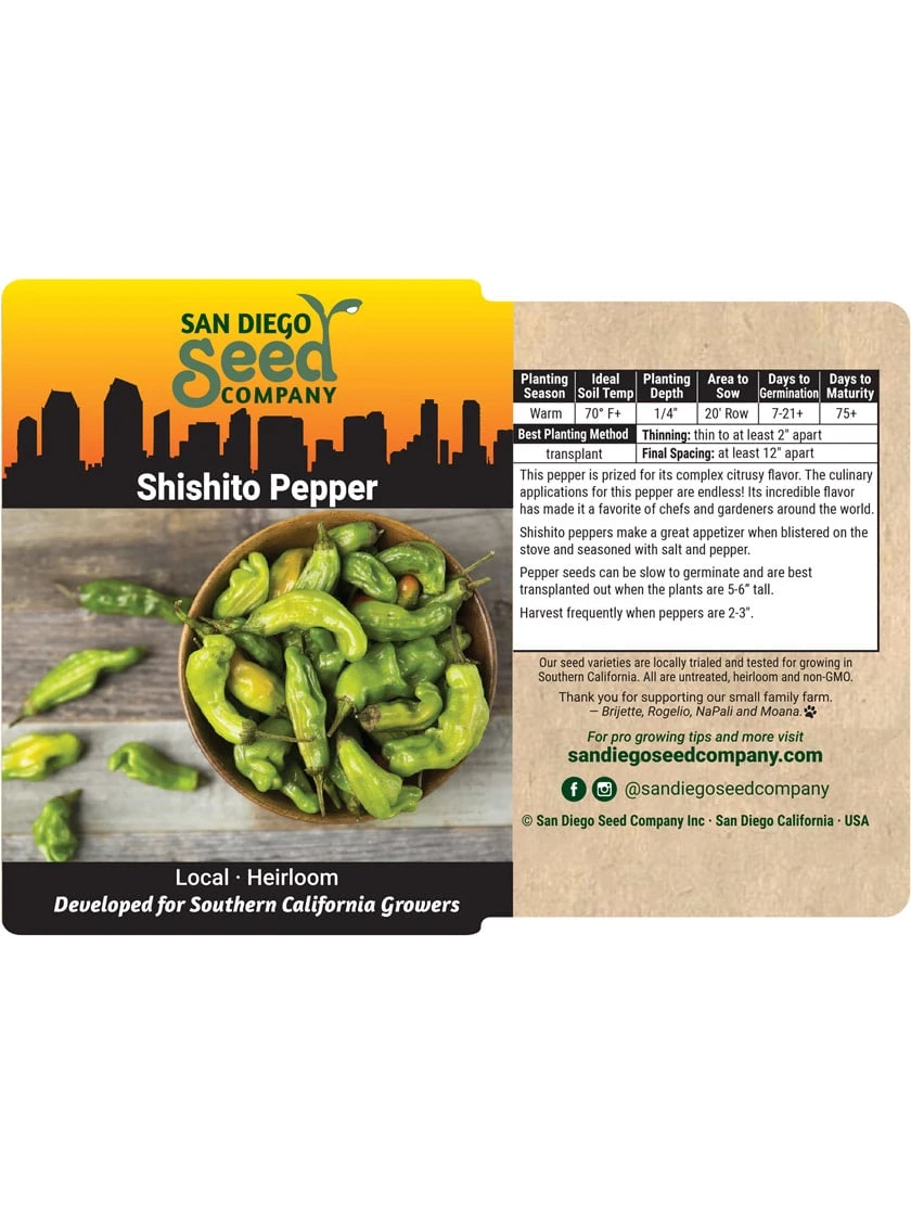 Shishito Pepper Organic Seeds - Image 3