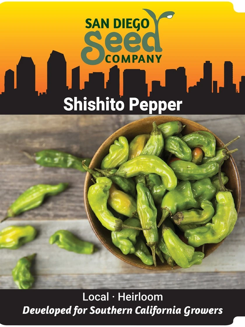 Shishito Pepper Organic Seeds - Image 2