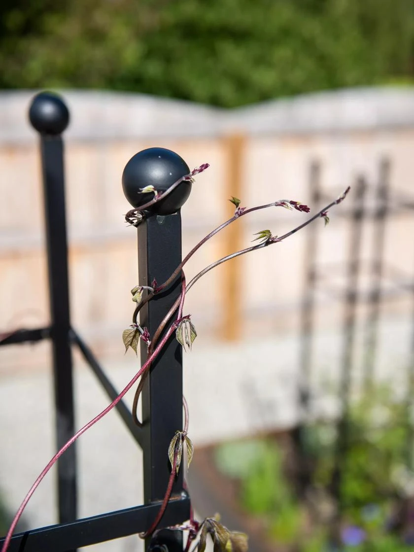 Essex Square Obelisk - Image 5