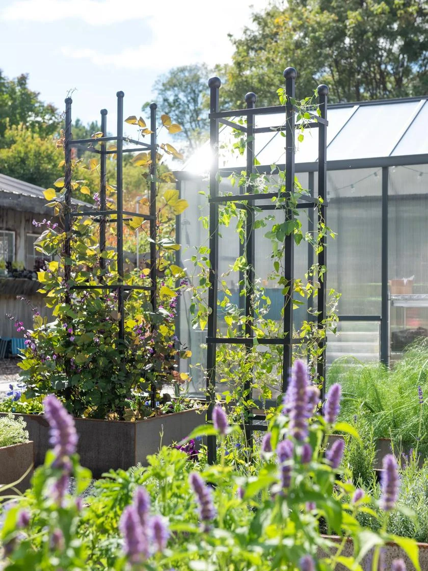Essex Square Obelisk - Image 2