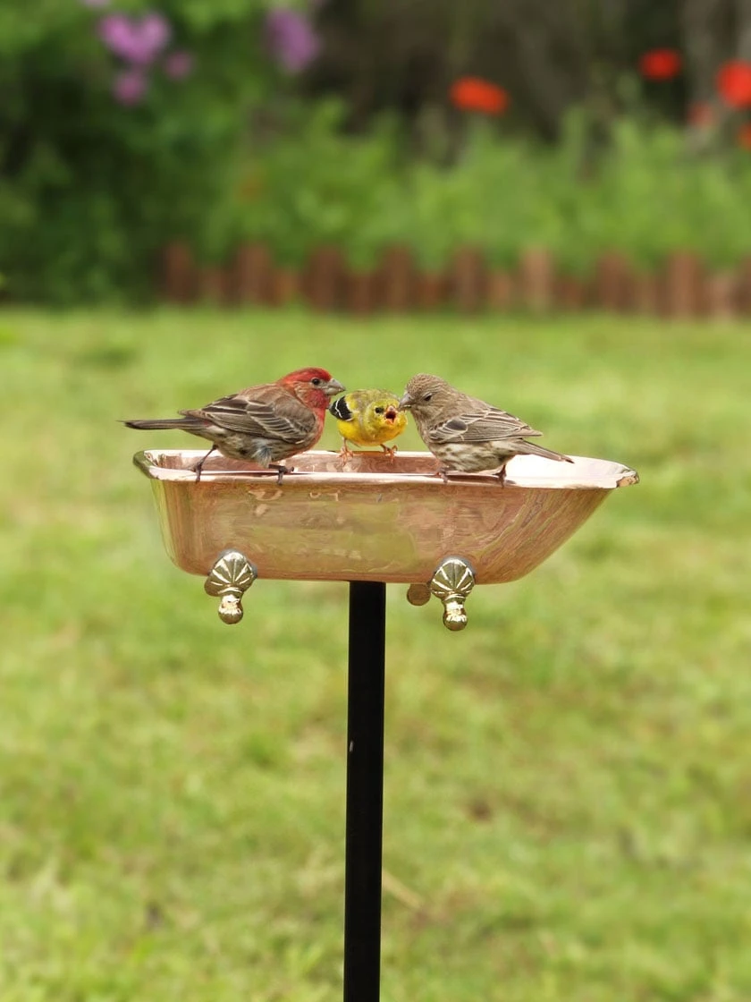 Copper Bathtub Birdbath - Image 6