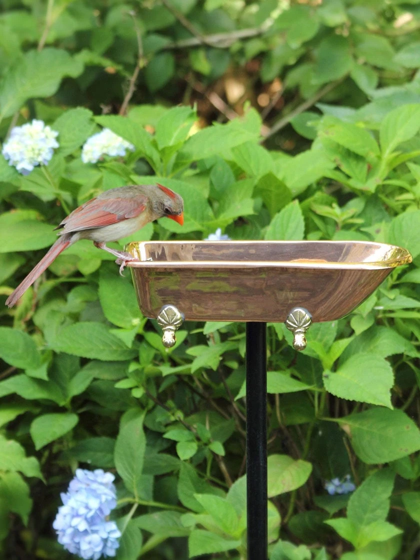 Copper Bathtub Birdbath - Image 5