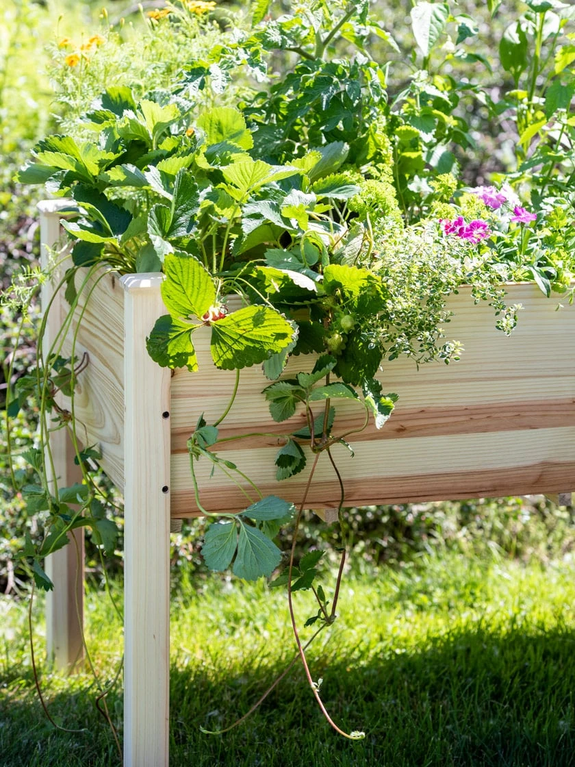 Standing Garden Bed - Image 2