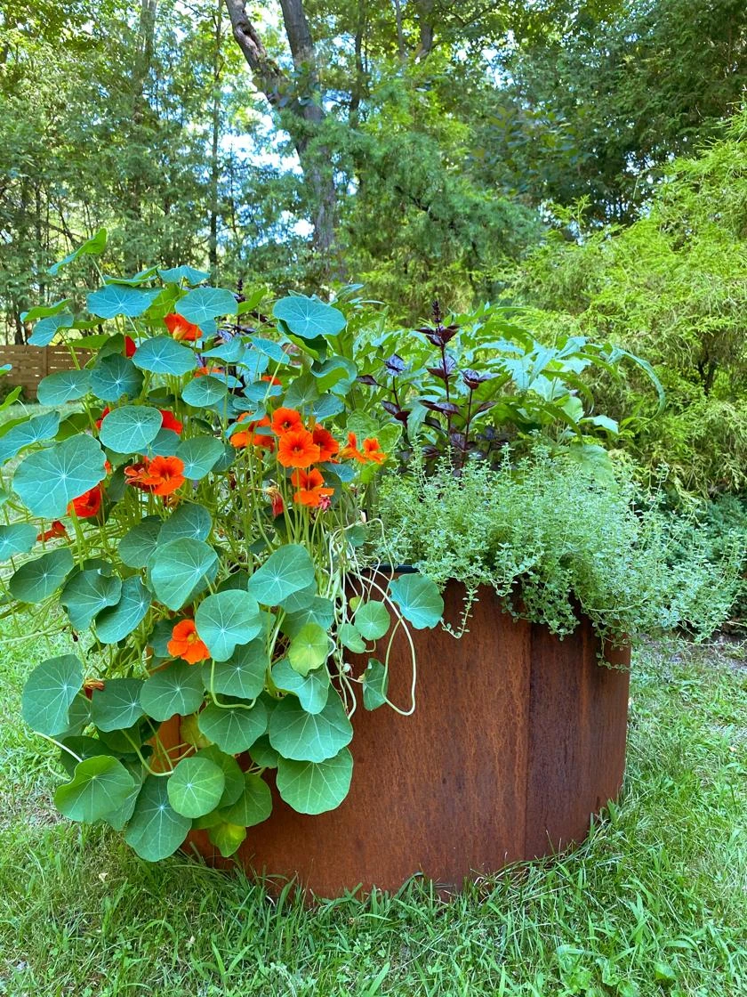 Birdies⢠Corten Steel Round Raised Beds - Image 2