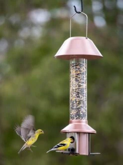 Roamwild PestOff™ Squirrel Proof Bird Feeder