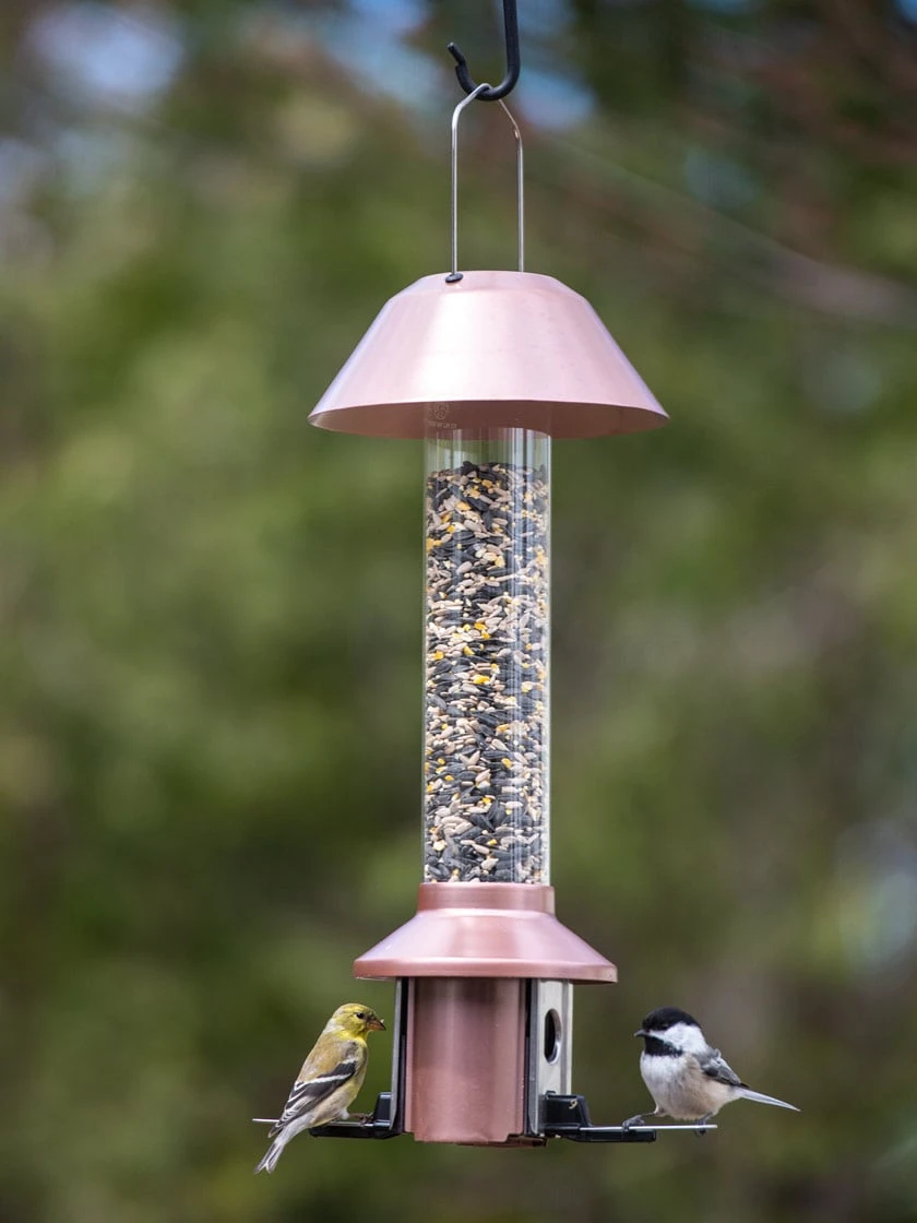 Roamwild PestOff™ Squirrel Proof Bird Feeder - Image 2