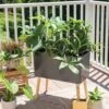 Ava Self-Watering Rectangular Planter