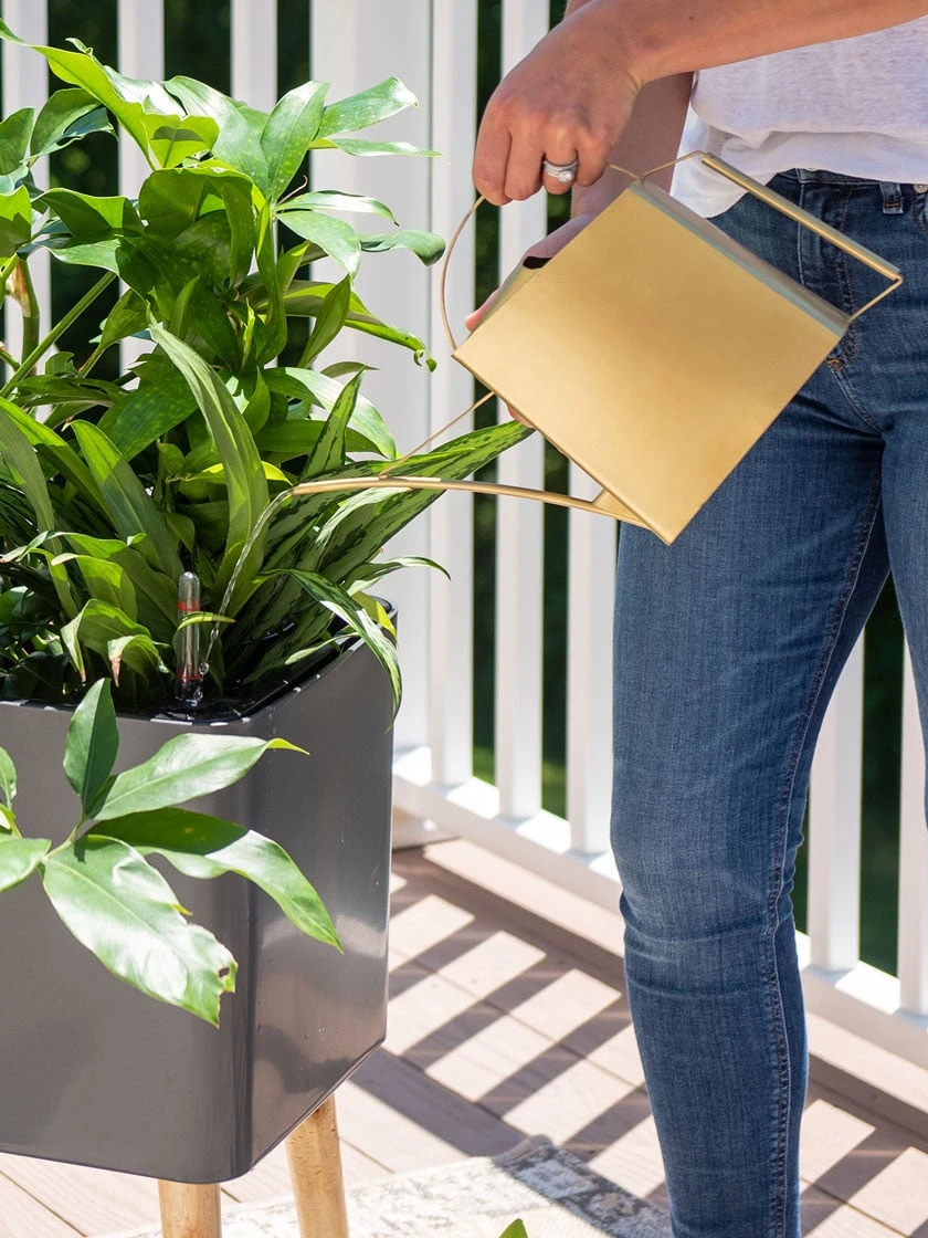 Precision Brass Watering Can - Image 3