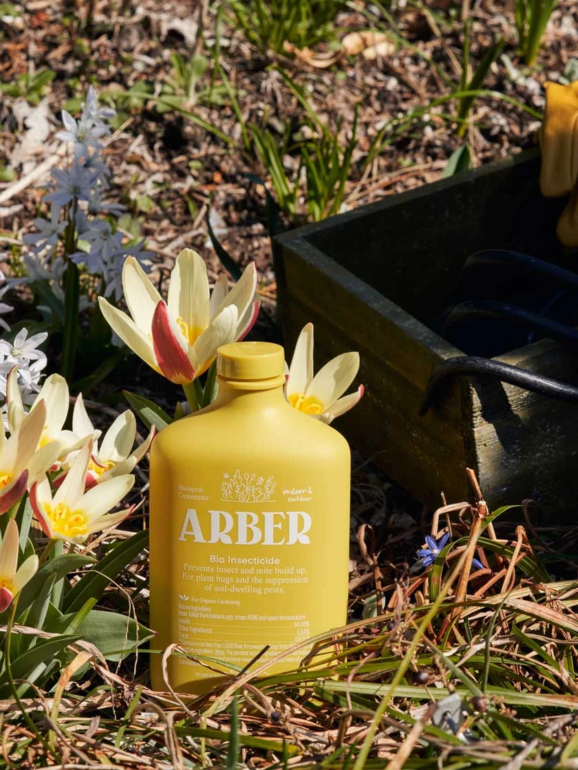 Organic Bio Insecticide Indoor/Outdoor - Image 3