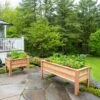 Craftsbury Elevated Raised Beds