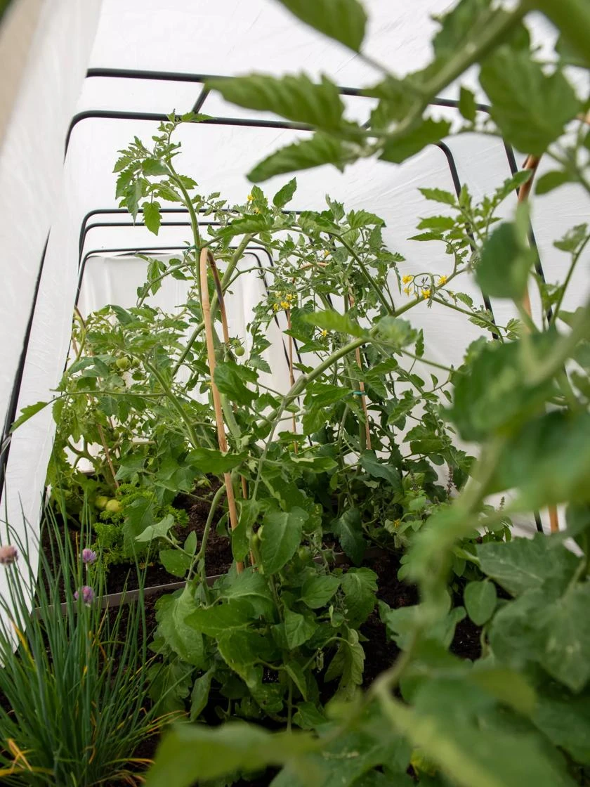 Cotton All Purpose Garden Cover - Image 3