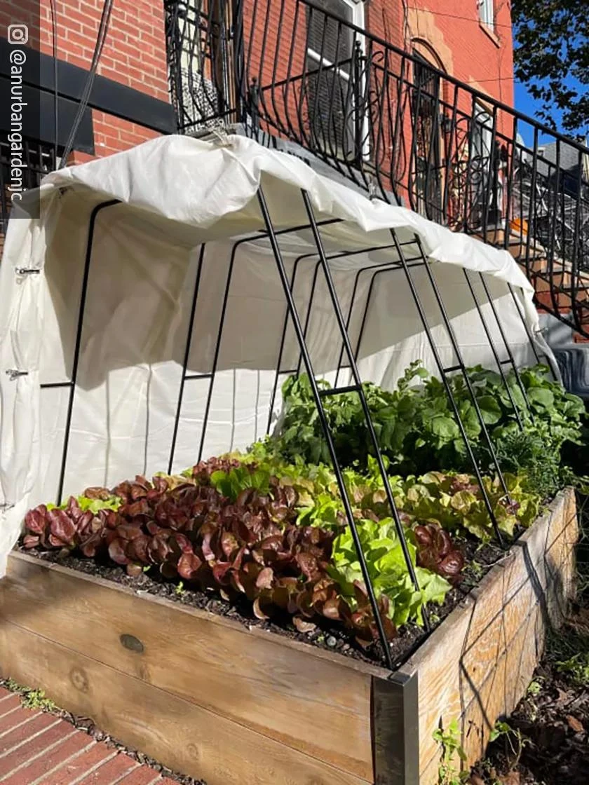 Cotton All Purpose Garden Cover - Image 4