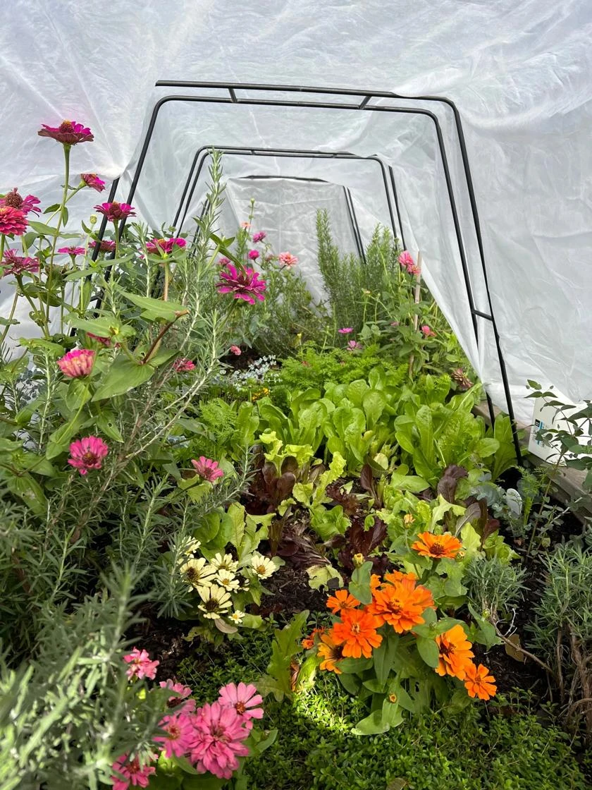 All-Purpose Garden Fabric - Image 6